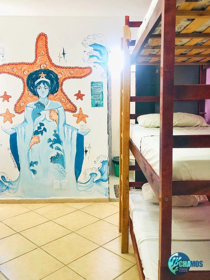 Chamos Hostel Cultural Arraial do Cabo Luaran gambar